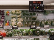 「ハイカラ野菜」が沖縄デビューしました！