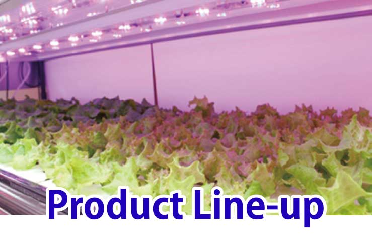 Product Line-up
