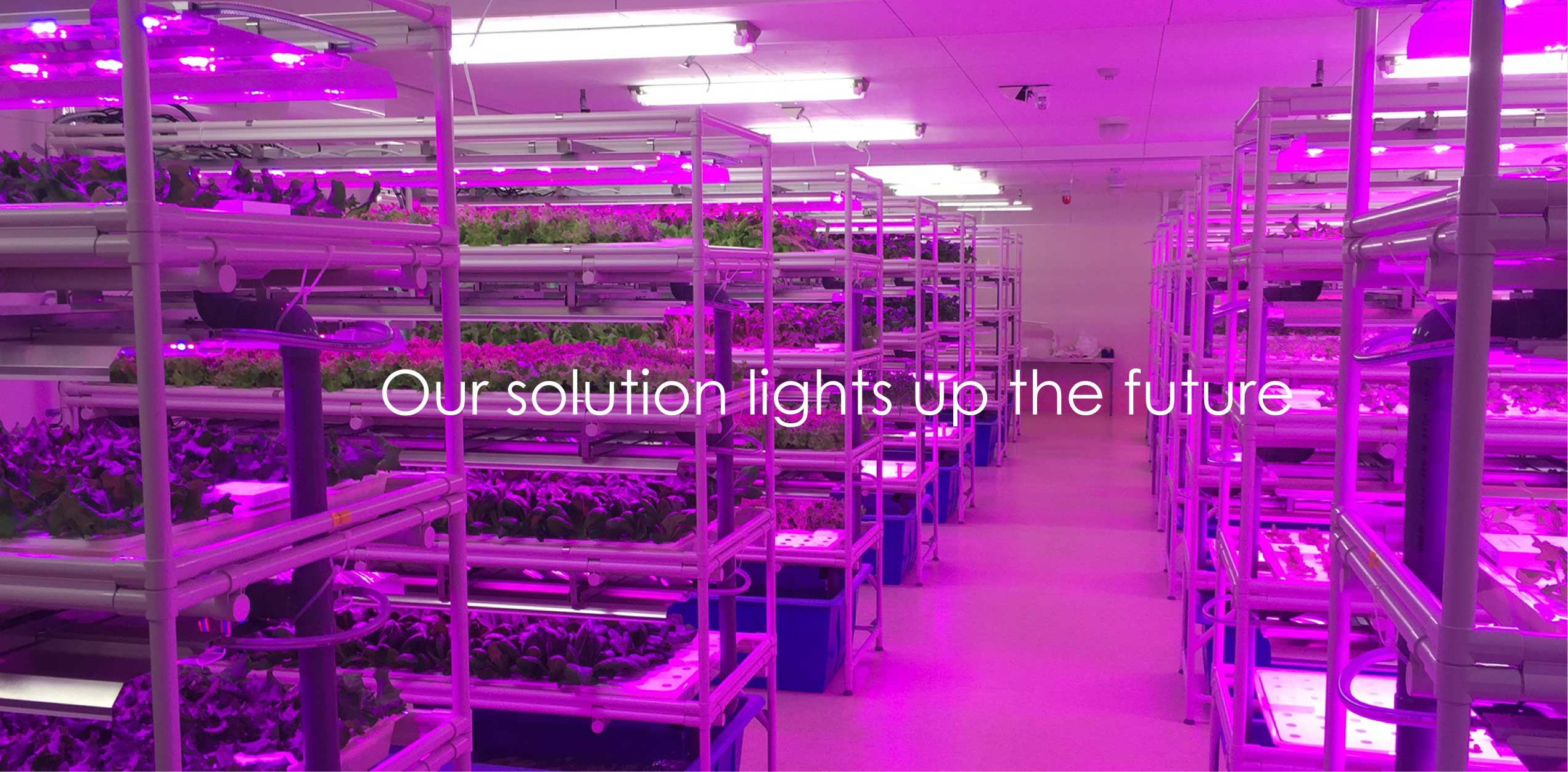 Our solution lights up the future