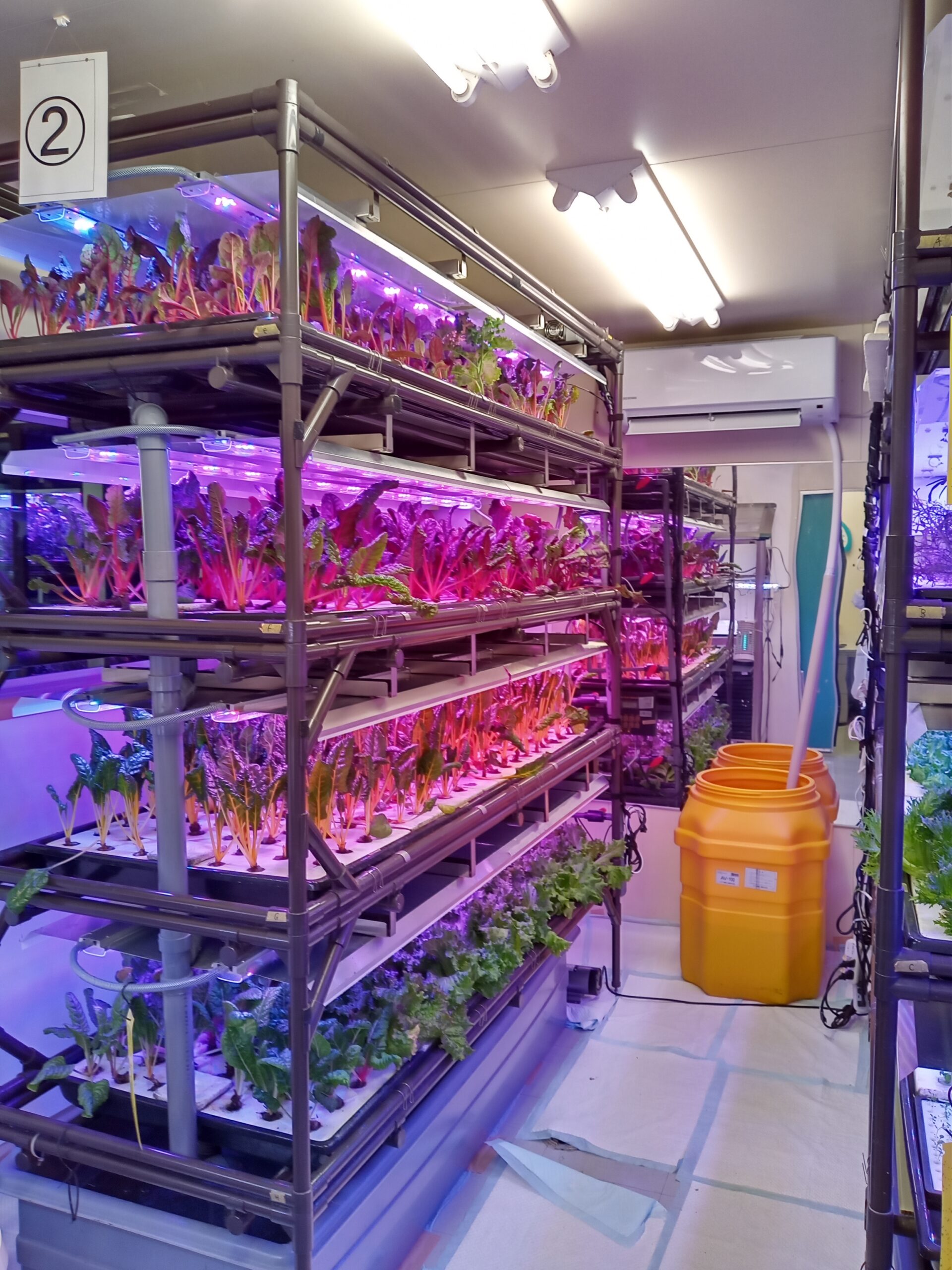 超小型完全制御Cell型植物工場『LED菜園』 - キーストーンテクノロジー