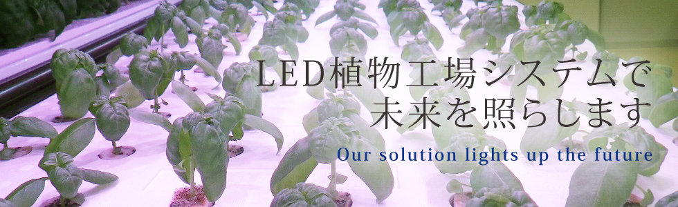 LED植物工場システムで未来を照らします