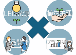 伴走型コンサルティング事業のイメージ